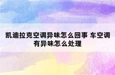 凯迪拉克空调异味怎么回事 车空调有异味怎么处理